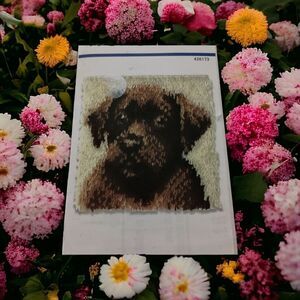 Wonderart Chocolate Lab Latch Hook Rug Kit Dog Pillow 12 x 12 NEW Open Box Caron